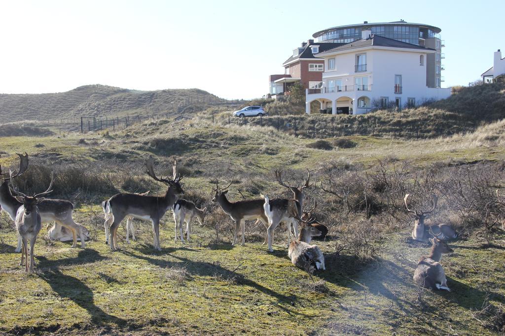 Dune Apartment Zandvoort Luaran gambar